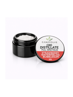 Strawberry Watermelon Bubblegum CBD – Distillate & Full Spectrum 1g