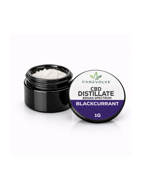 Blackcurrant CBD – Distillate & Broad Spectrum 1g
