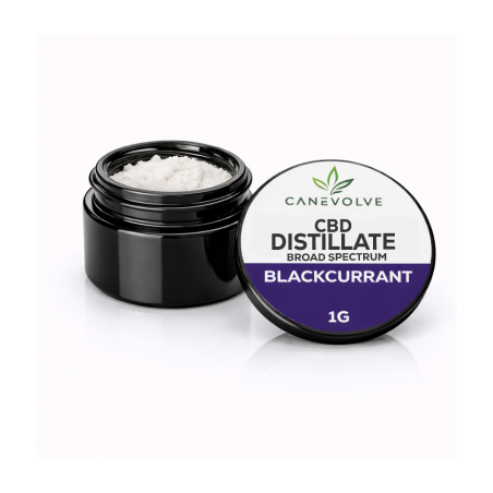 Blackcurrant CBD – Distillate & Broad Spectrum 1g