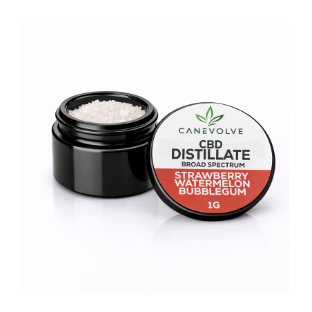 Strawberry Watermelon Bubblegum CBD –  Distillate & Broad Spectrum 1g