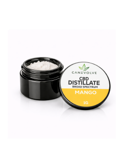 Mango CBD – Distillate & Broad Spectrum 1g