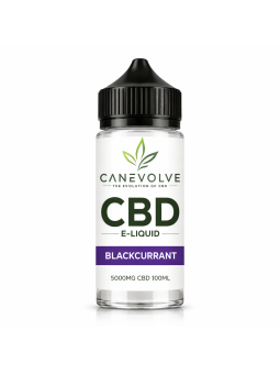 Blackcurrant 5000mg CBD 100ml E-Liquid | Premium CBD Vape Juice UK