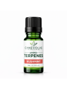 Amped Terpenes - Kushmint