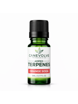 Amped Terpenes - Orange Soda