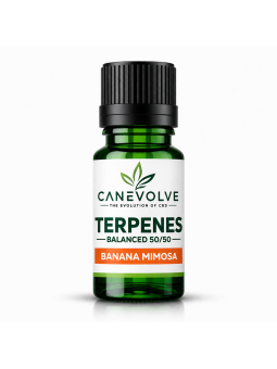 Banana Mimosa Terpenes UK | Tropical Citrus Banana