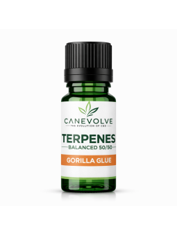 Gorilla Glue Terpenes UK | Earthy Pine Diesel Flavour