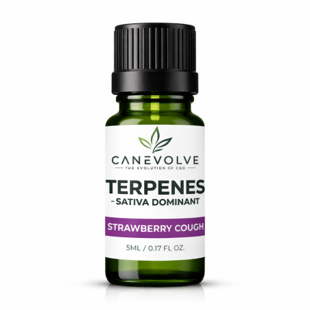 Strawberry Cough Terpenes UK | Sweet Berry Citrus