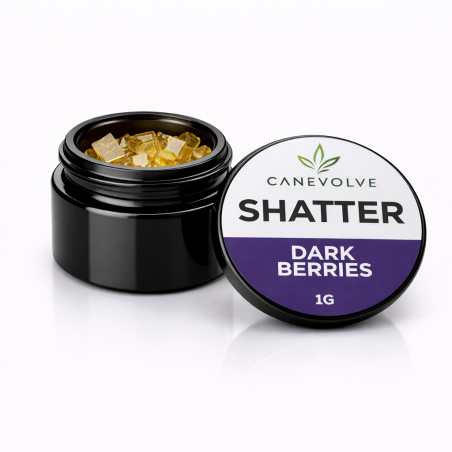 Dark Berries CBD Shatter 1g | Premium CBD