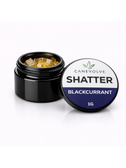 Blackcurrant - CBD Shatter  - 1g