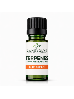 Blue Dream Terpenes UK | Sweet Berry Citrus Flavour