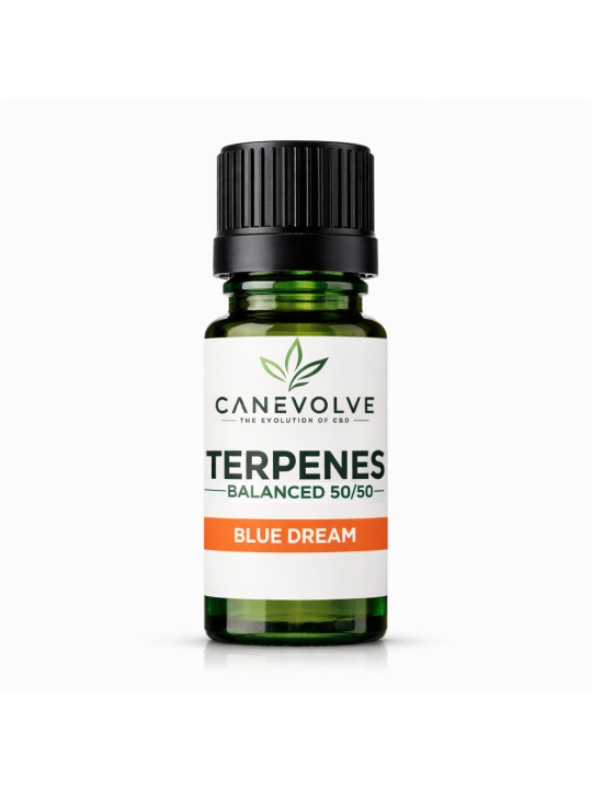 Blue Dream Terpenes UK | Sweet Berry Citrus Flavour
