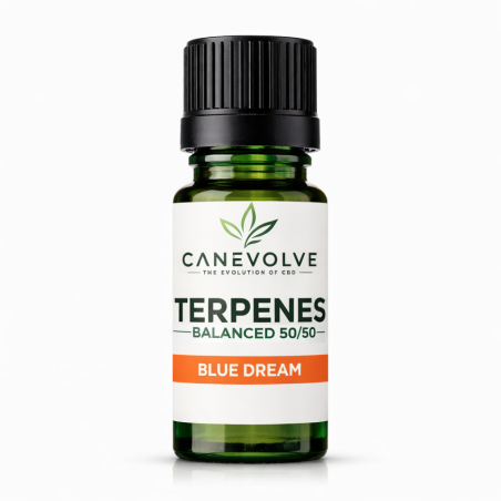 Blue Dream Terpenes UK | Sweet Berry Citrus Flavour