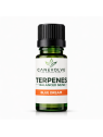 Blue Dream Terpenes UK | Sweet Berry Citrus Flavour