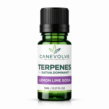 Lemon Lime Soda Terpenes UK | Citrus Fizzy Flavour
