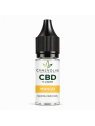 copy of Mango 500mg CBG 10ml E-Liquid