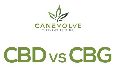 CBD vs CBG  image