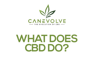 What Does CBD Do? image